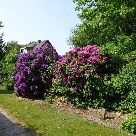 Apartment Tiedemann Cuxhaven